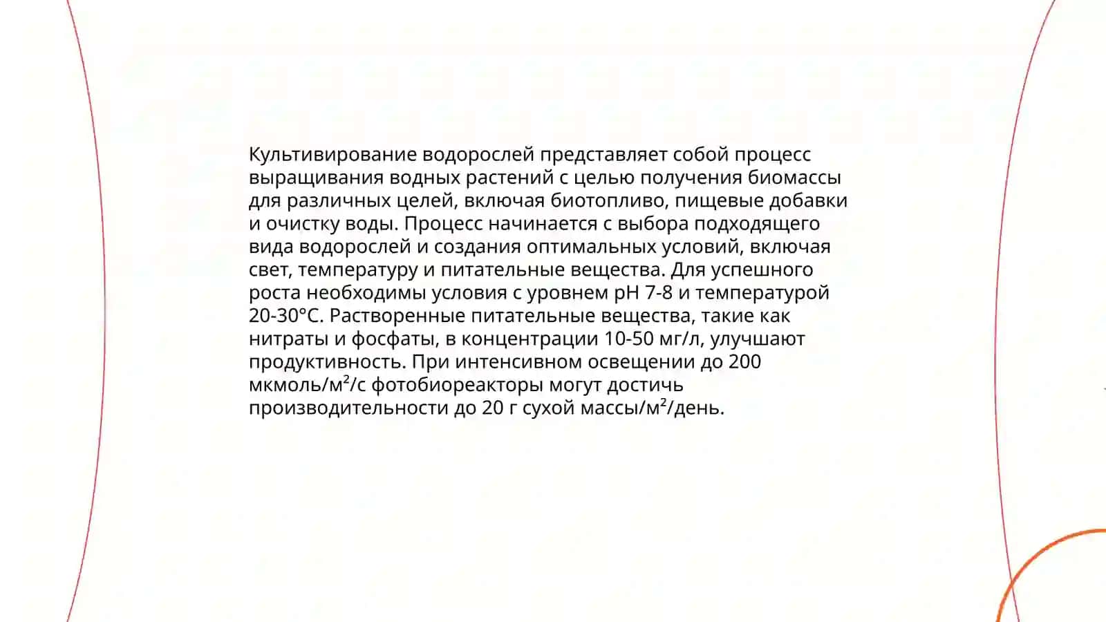 Технология получения биодизеля из водорослей 4