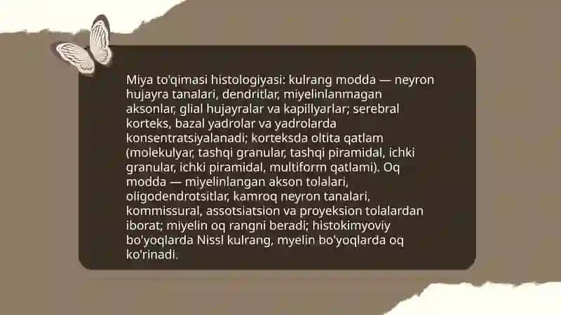Bosh miya, miya po'stlog'i, miyachaning tuzilishi 4