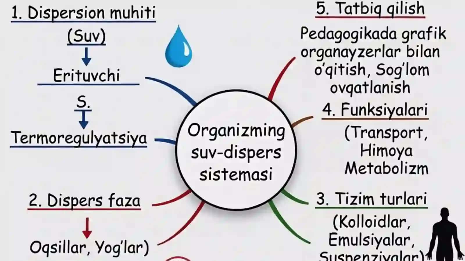 Organizmning suv-dispers sistemasi haqidagi bilimlarni tatbiq qilishda grafik organa 4