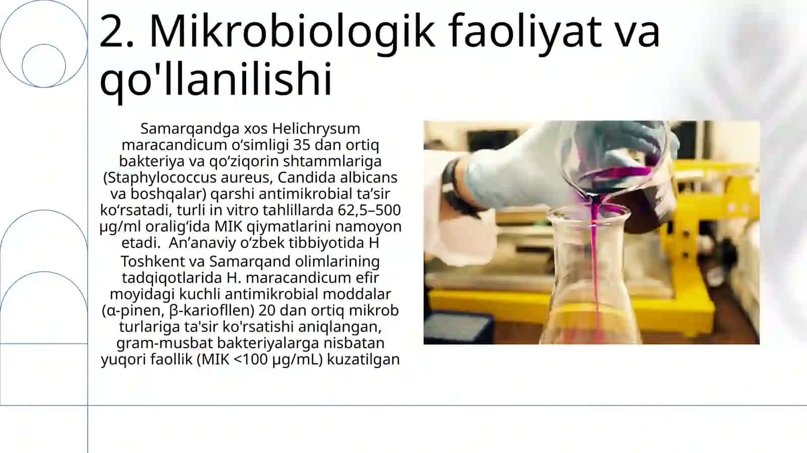 Samarqand o'lmas o'ti (Helichrysum maracandicum) ning sistematikasi va tibbiyotda qoʻllanishi 4