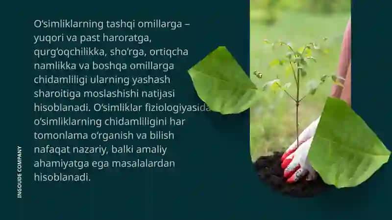 O'simliklarni qurg‘oqchilikka chidamliligi 4