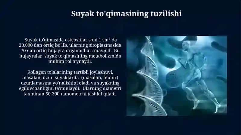 Suyak to‘qimalarining minerallashuvi,uning tartibga solinishi va buzilishlari 4