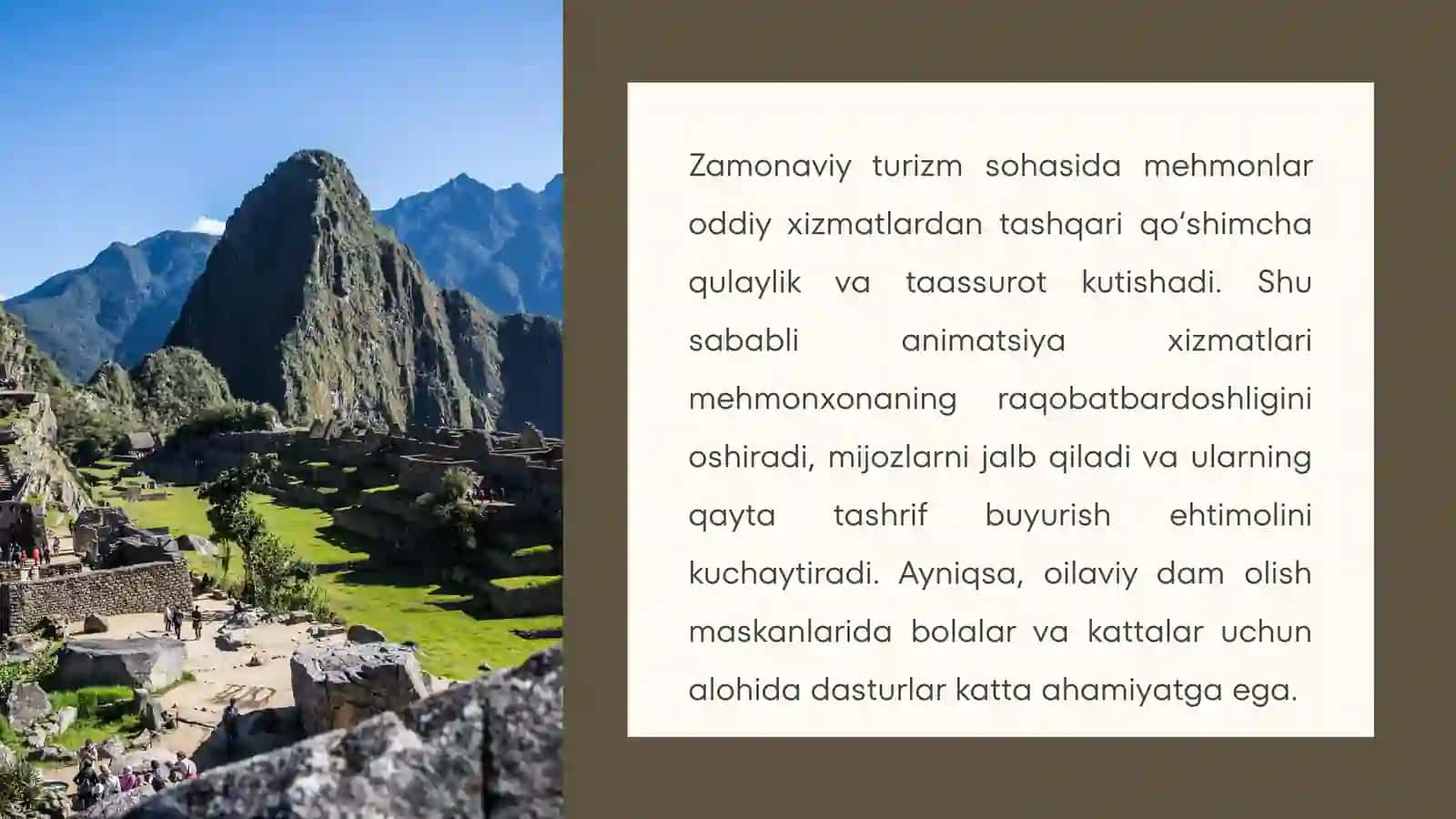 Mehmonxona animatsiya xizmatlari 4