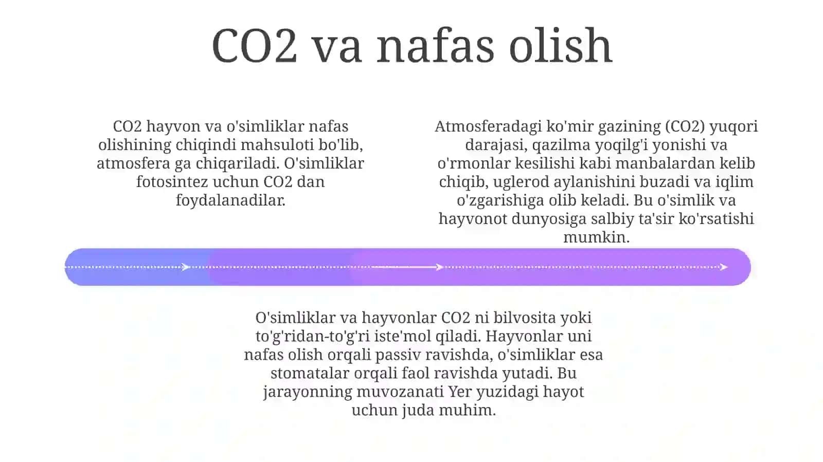 CO₂ yutilishini kamaytirish strategiyasi 4
