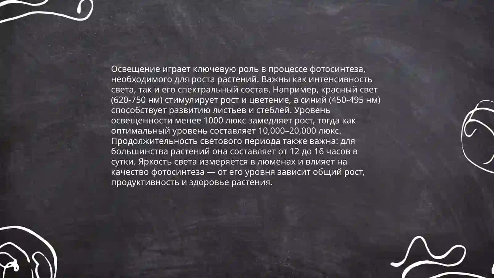 Проектная работа сравнения строения растений выращенных в разных условиях 4