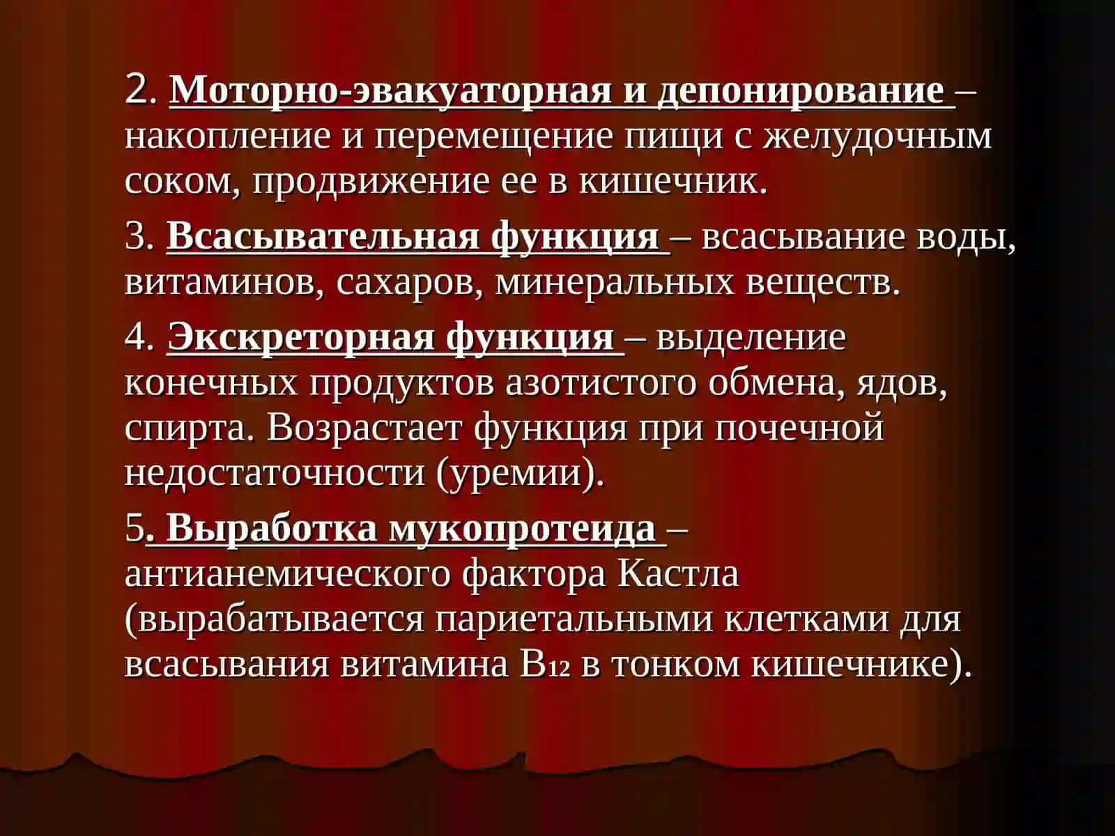 ПИЩЕВАРИТЕЛЬНАЯ СИСТЕМА. ЖЕЛУДОК. ТОНКИЙ И ТОЛСТЫЙ КИШЕЧНИК 4