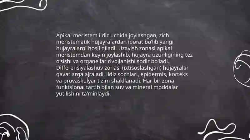 Ildiz tuzilishi, turlarini ildiz zoʻnalariga boʻlib jadval tuzish 4