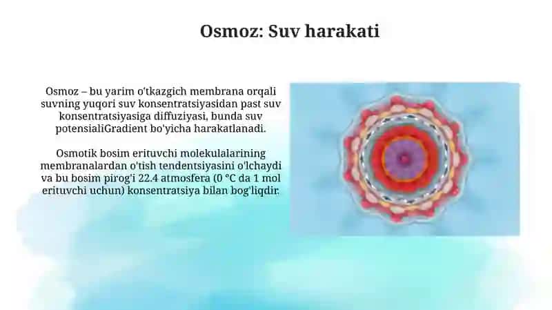 Hujayra membranasi uning nozik tuzilishi va hujayraga moddalarning kirishi 4