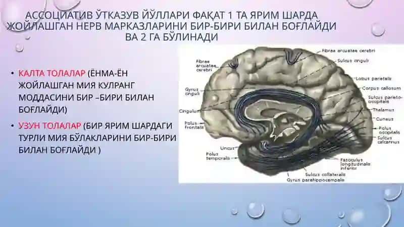 Ўтказув йўллари 4