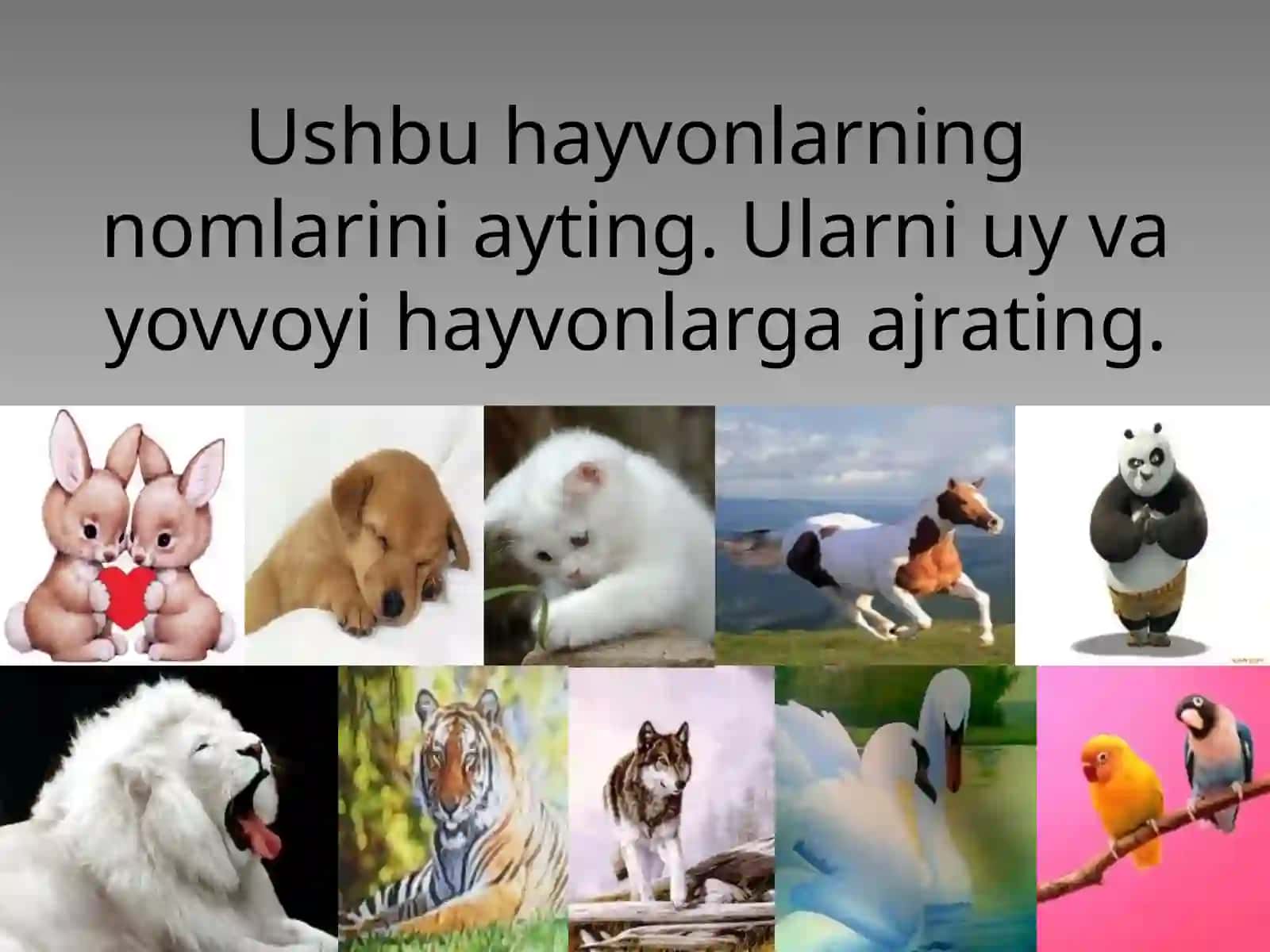 Ona tili kitobining tuzilishi 4