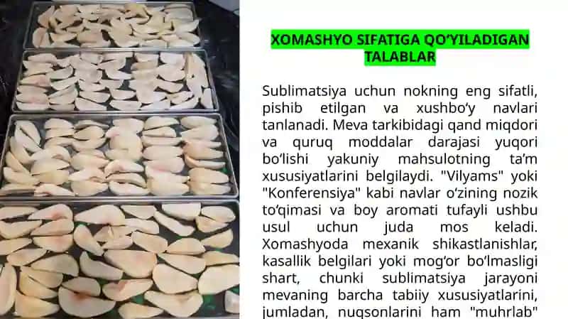 NOKNI SUBLIMATSIYA USULIDA QURITISH TEXNOLOGIYASI 4