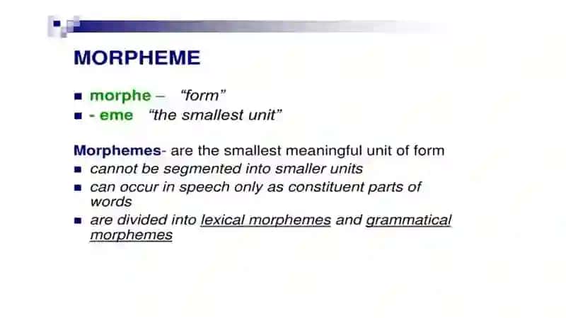 Morphology. Parts of speech and their types 4