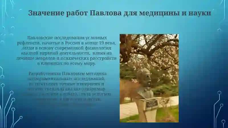 Учение об условных рефлексах 4