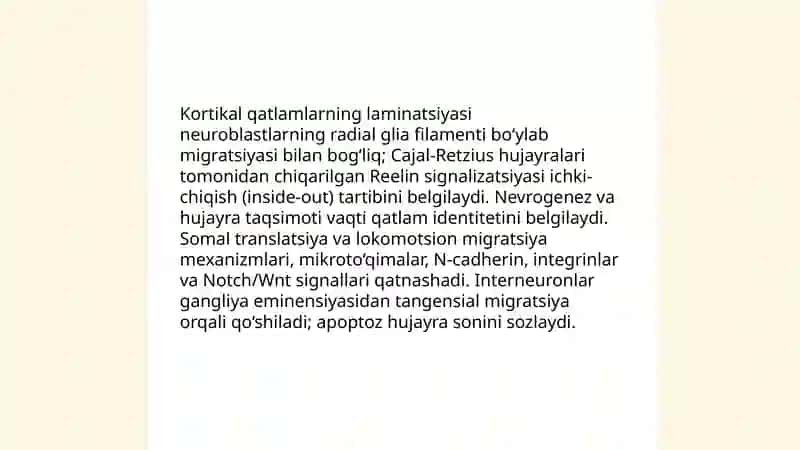 Bosh miya yarim sharlari po'stlog'ining morfogenezi 4