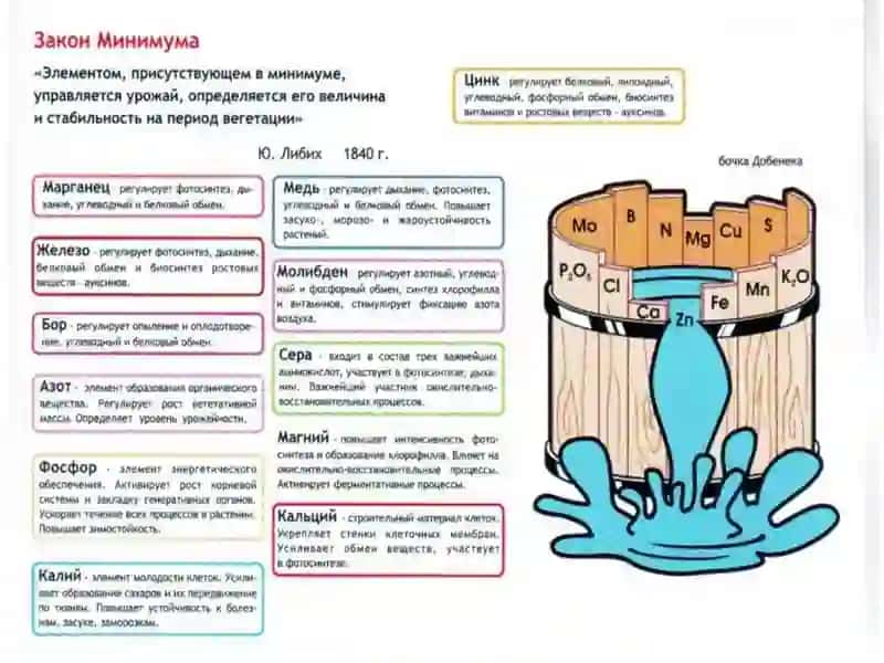 Химическая экология 4