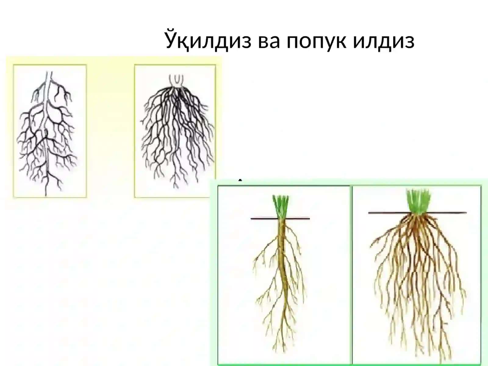 Ilmiy-ta'limiy kurs 4