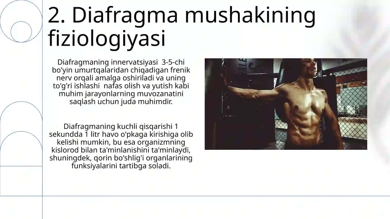 Diafragma mushaklar fiziologiyasi 4