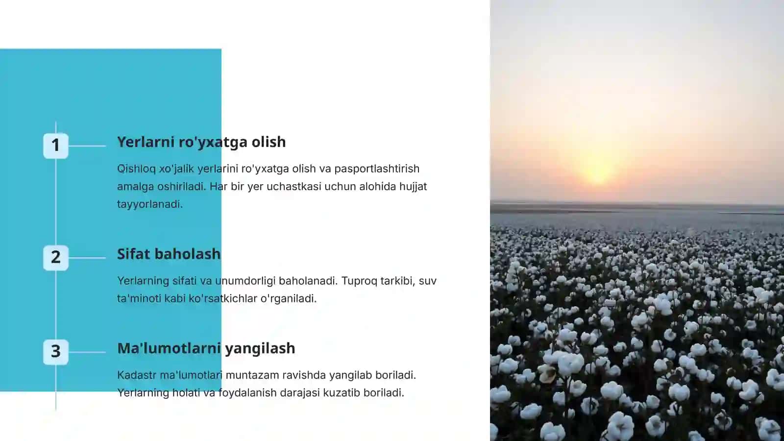 O'zbekiston Respublikasi Vazirlar Mahkamasining davlat kadastrlarini yuritish sohasidagi vakolatlari 4