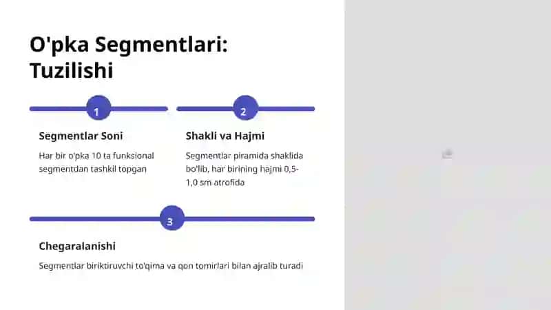 O'pka Anatomiyasi: Bo'limlari va Segmentlari 4