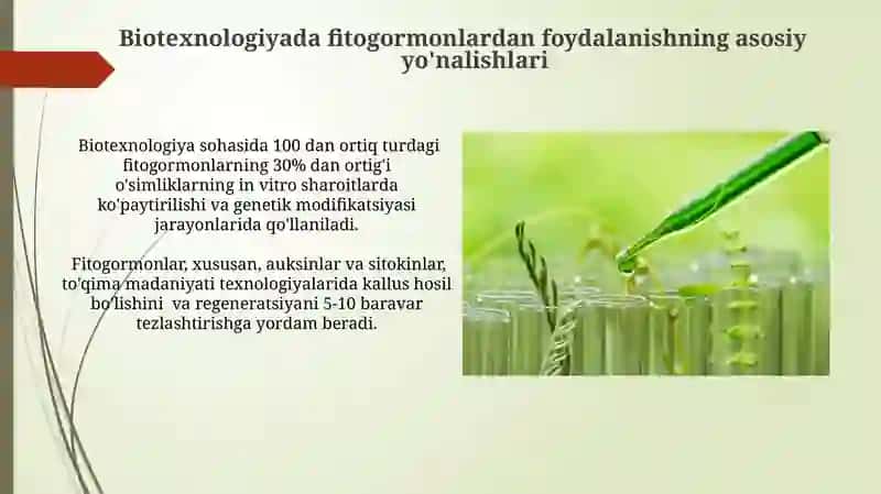 Fitogormonlarning biotexnologiyada qoʻllanilishi 4