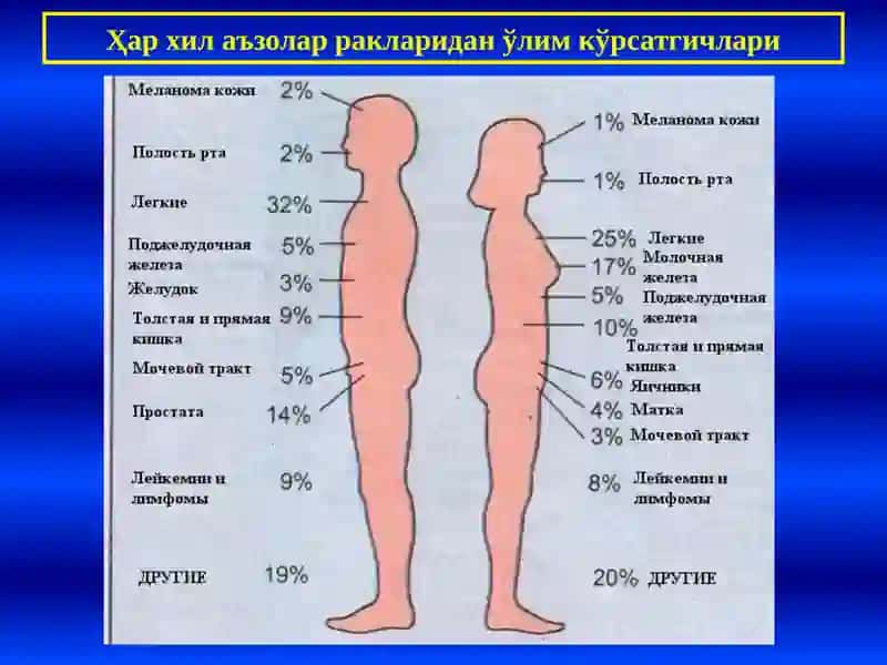 ЎСМАЛАР 4