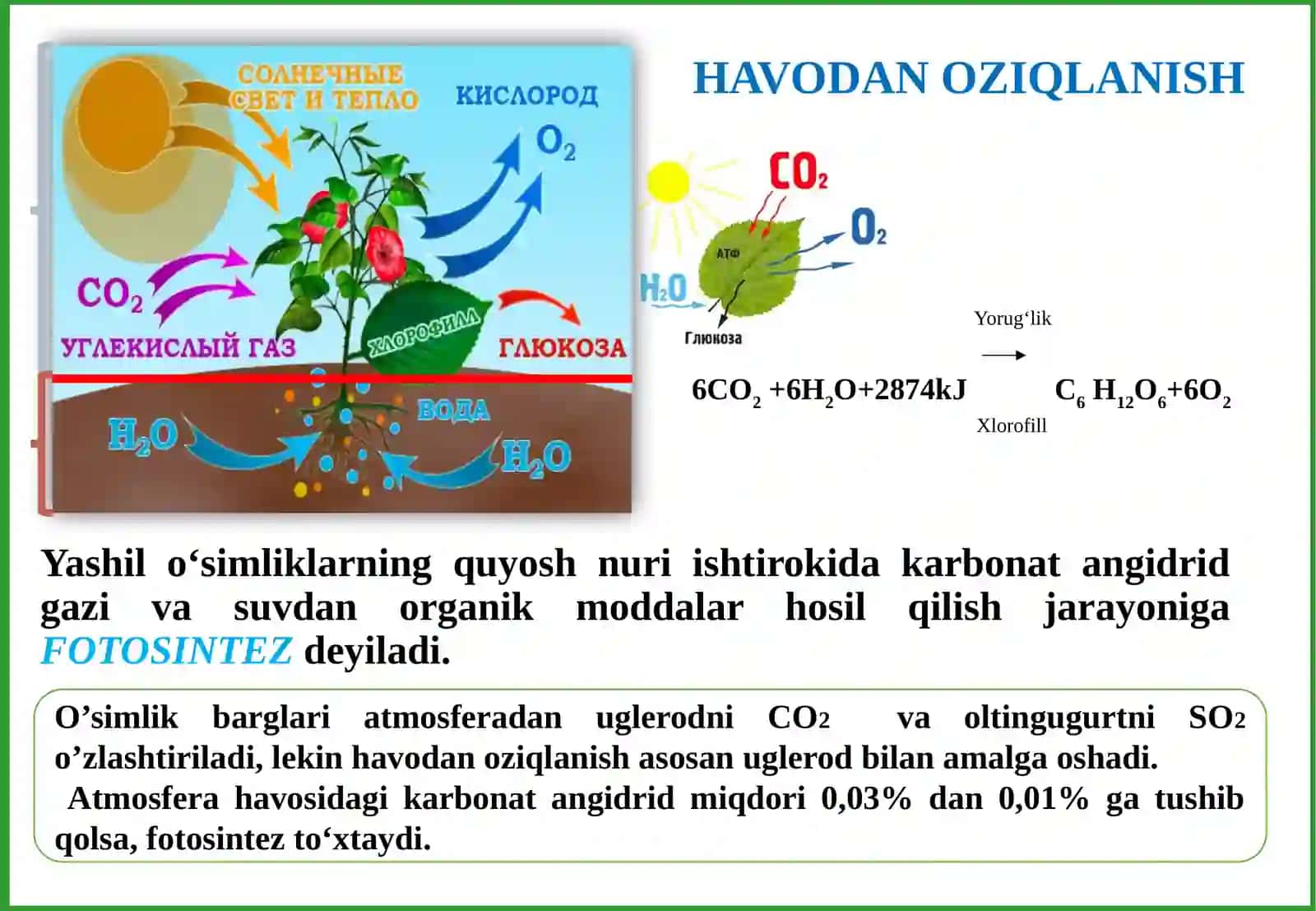 O‘SIMLIKLARNING KIMYOVIY TARKIBI VA OZIQLANISHI 4