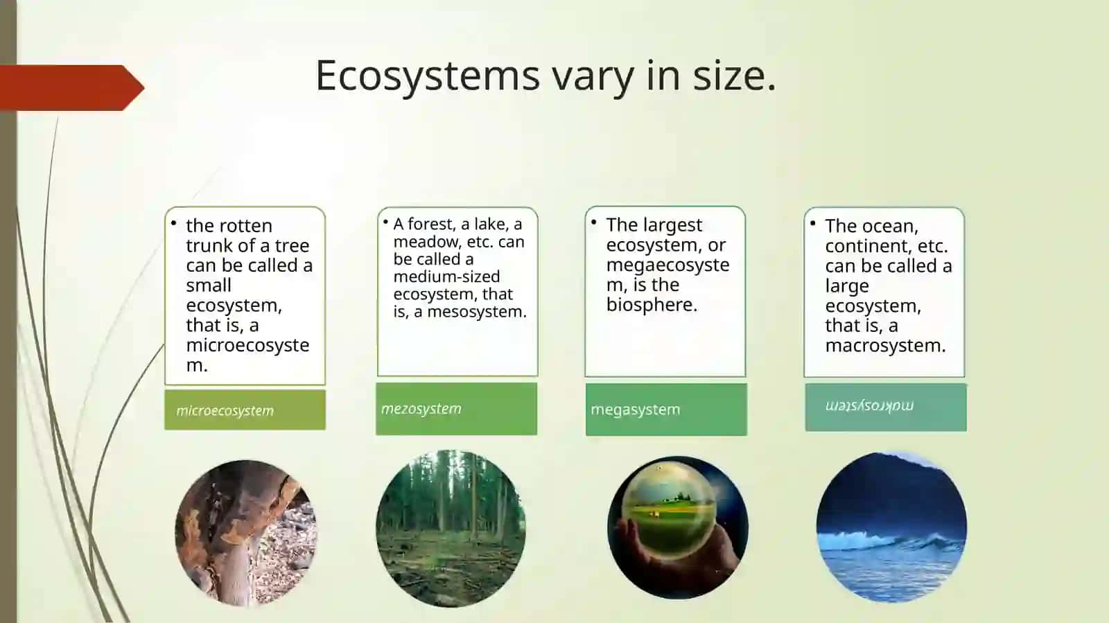Ecology of ecosystems 4