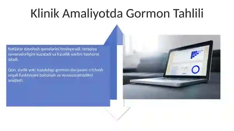 Gormonlar tahlili 4