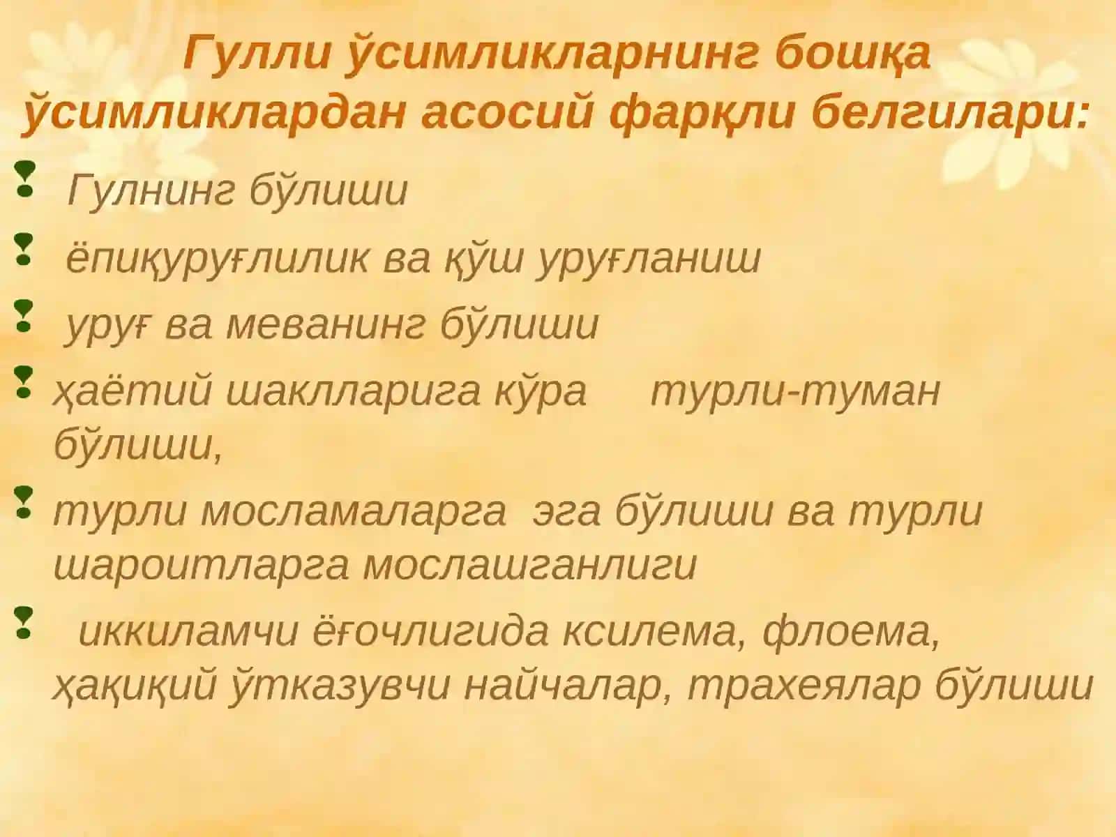 Гулли ўсимликлар, Магнолиятоифалилар (Magnoliophyta), Ёпиқуруғлилар (Angyospermae) 4