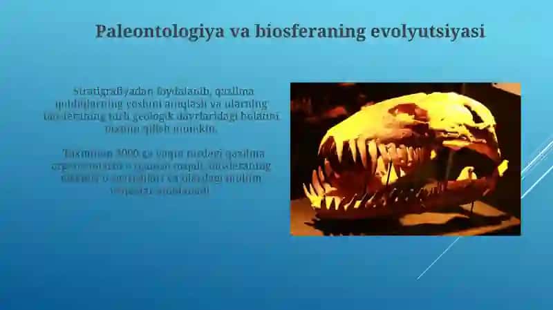 Paleontologiya fanining asoslari 4