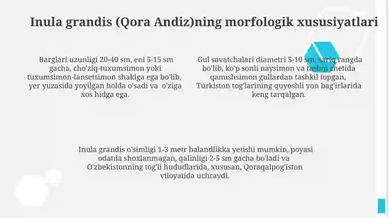 Qora andiz (Inula grands Screnik ) tarqalishi va tibbiyotda qo'llanilishi 4