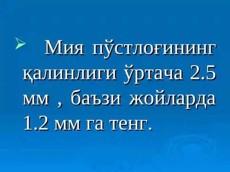 Бош мия пўстлоғининг клиник тузилиши, гистологияси ва физиологияси 4