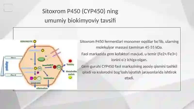 Sitoxrom P450 Ning katalit sikli 4