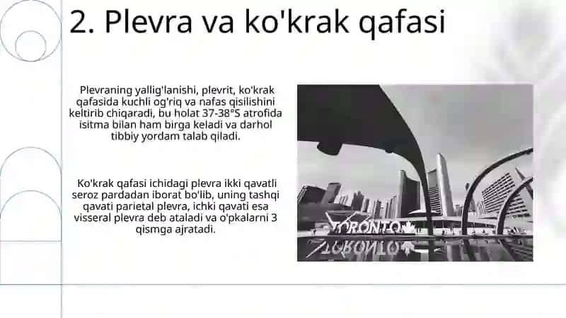 Nafas olish yo'llariga kiruvchi a'zolarni tuzilizishi joylashishi 4