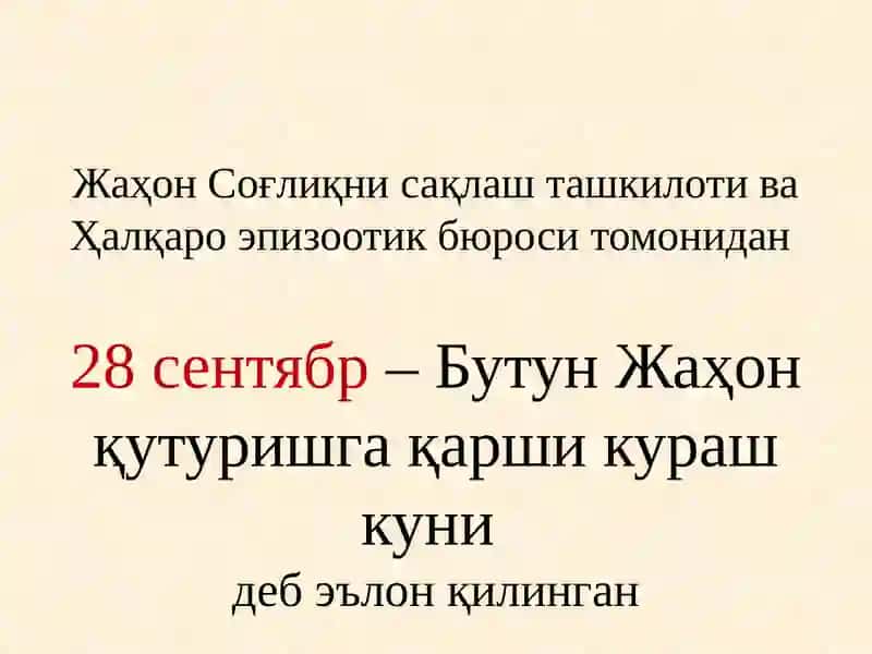 Қутуриш 4