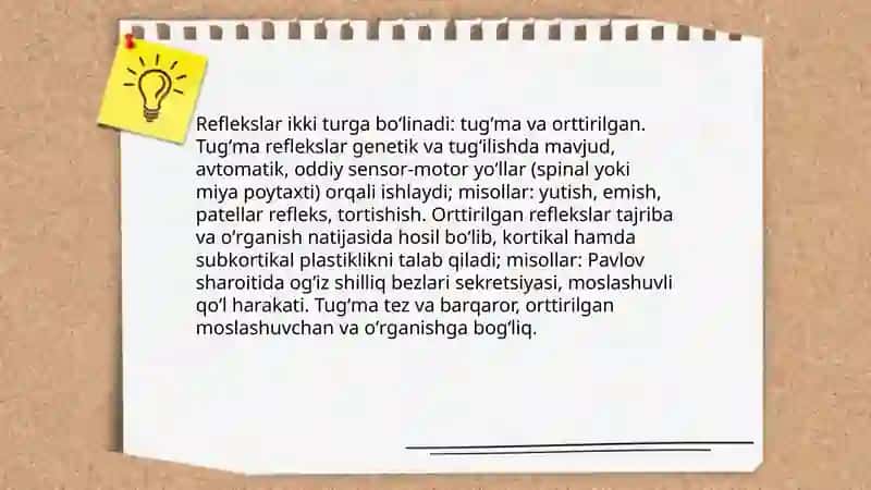Reflekslar haqida tushuncha 4