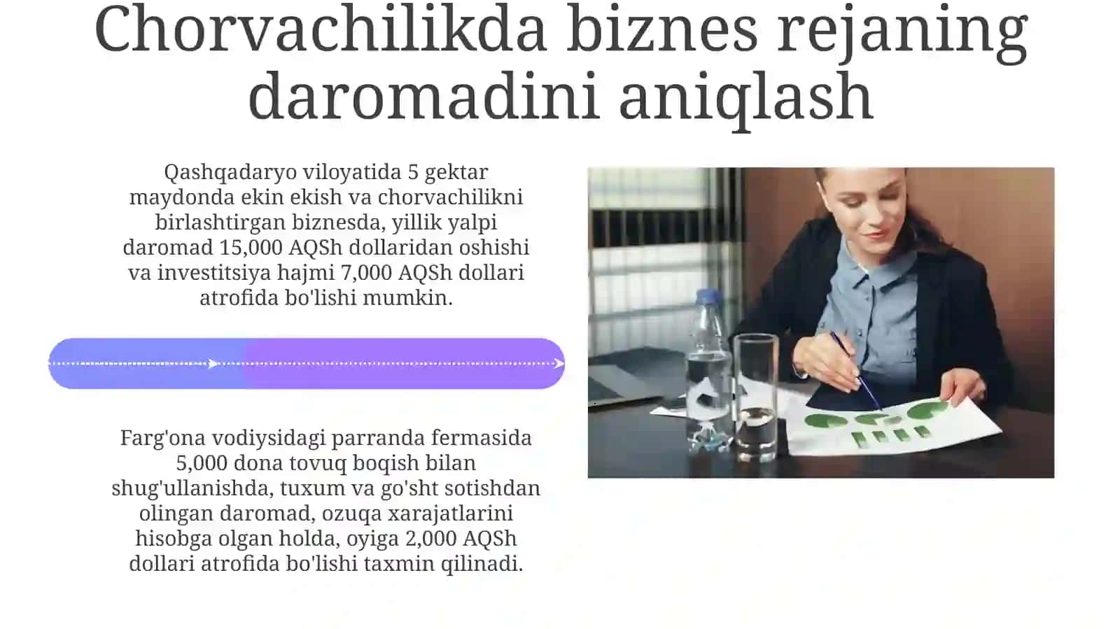 Chorvoqda biznes-rejani amalga oshirishdan olinishi mumkin bo'lgan daromad 4