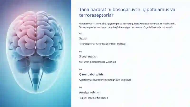 Homeostaz: Tana ichidagi muvozanat sirlarini ochish 4