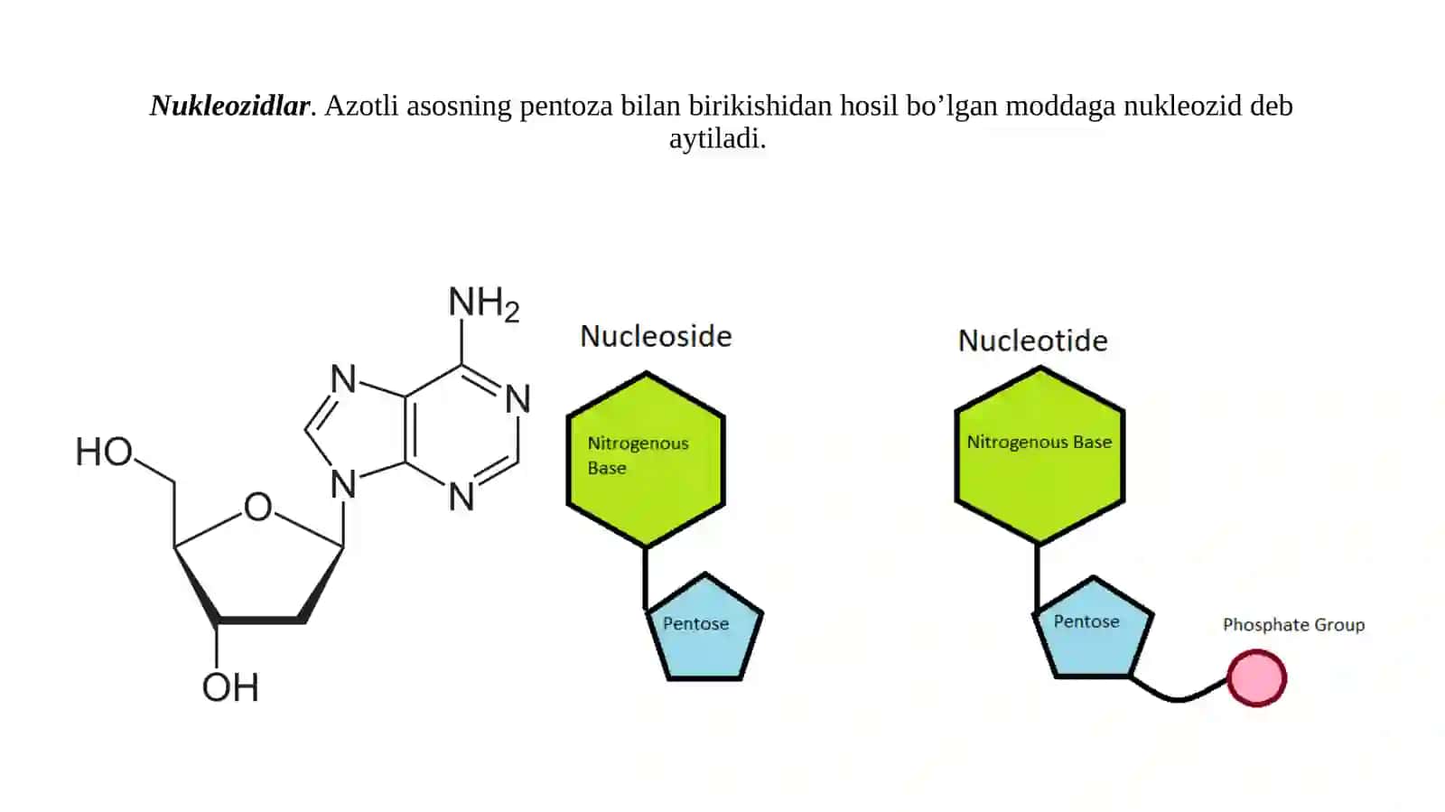 Dnk replikatsiyasi va rekonbinatsiyasini molekulyar mexanizmlari 4
