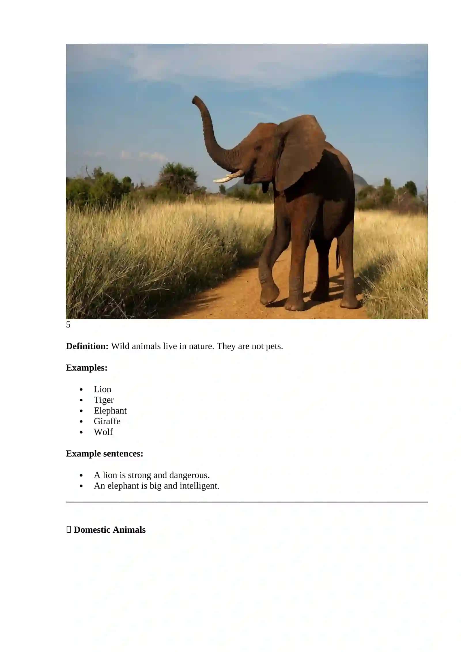 Animals (Wild and Domestic Animals) 4
