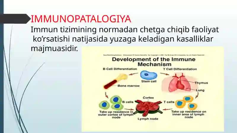 Immunopatalogiya, xozirgi zamon
Klassifikatsiyasi tug’ma va hayot davomida
Ortirillgan immun tanqis 4