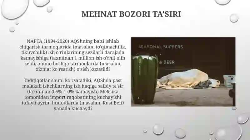 NAFTAning iqtisodiy ta'siri 4