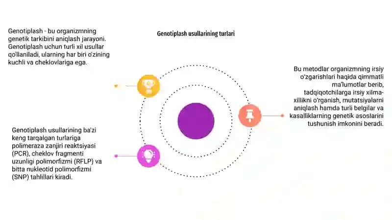 Genotiplash 4