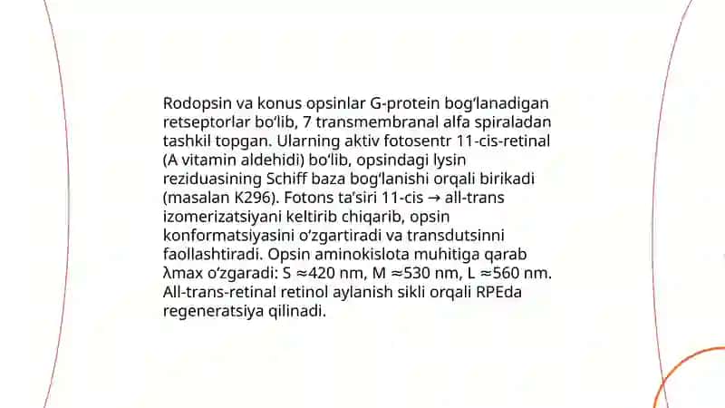 To'r parda tuzilishi undagi foto kimyoviy jarayoni 4