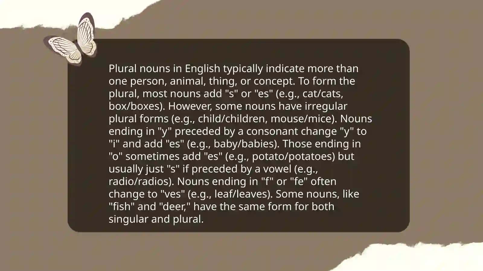 Singular and Plural Nouns 4