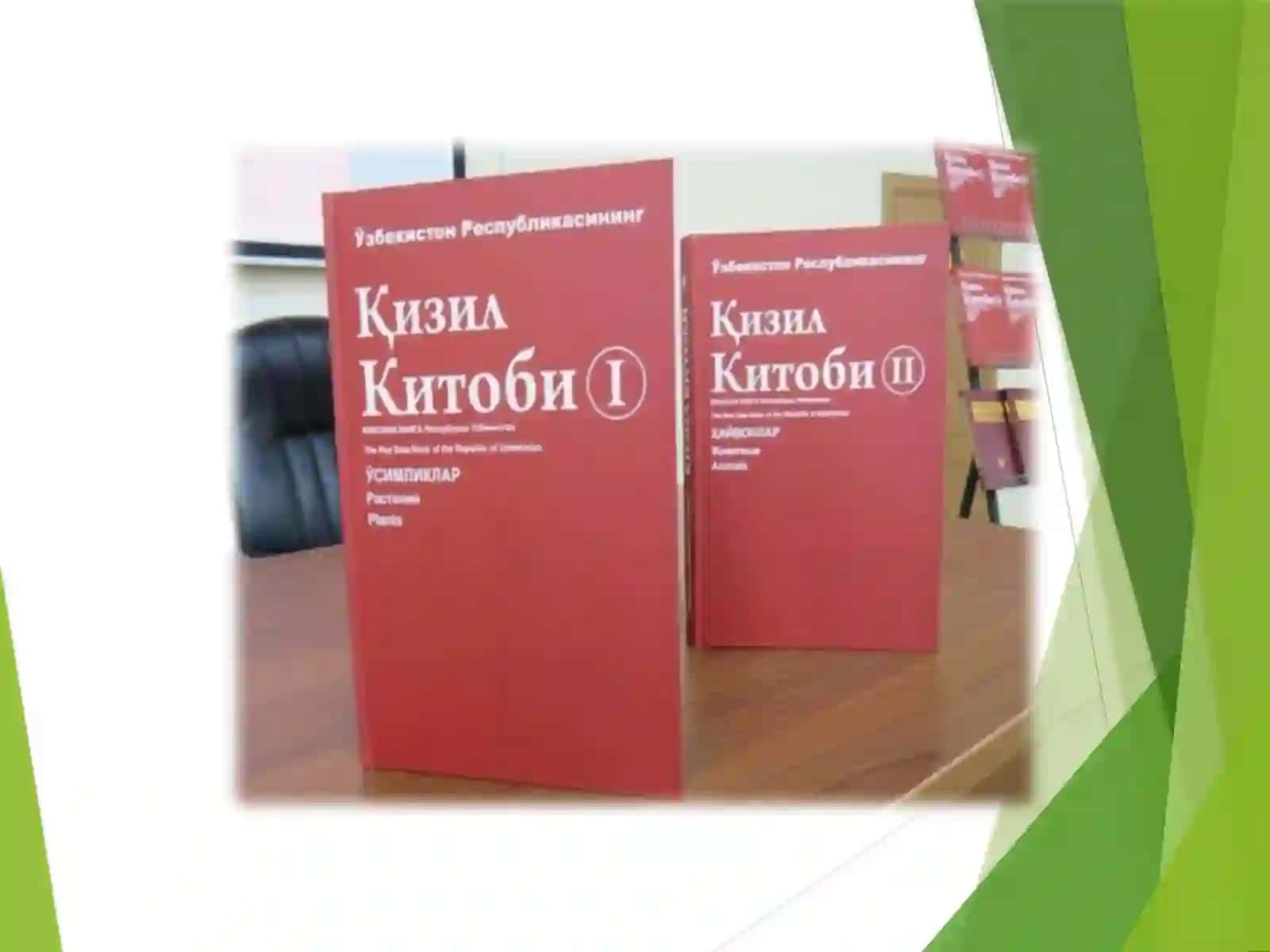 O'zbekiston Respublikasi Qizil kitobiga kiritilgan ayrim o'simliklar 4