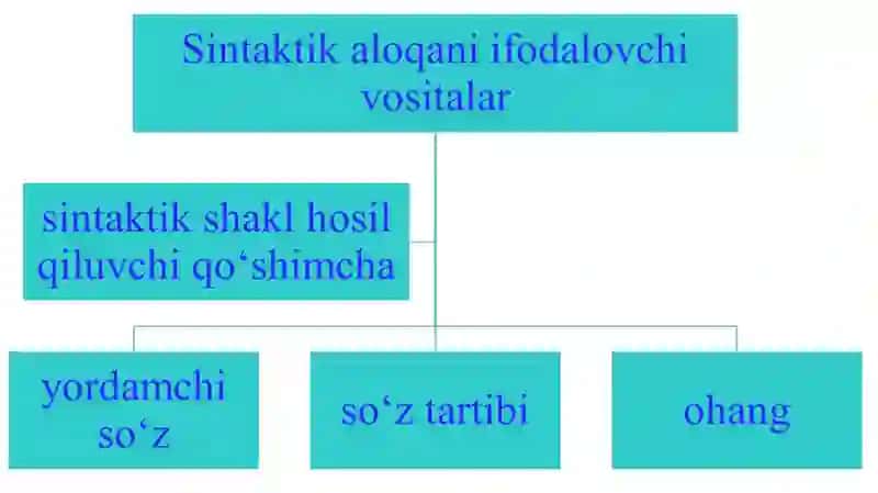 Soʻz birikmalari va gaplar nutqiy sintaktik birliklar sifatida 4