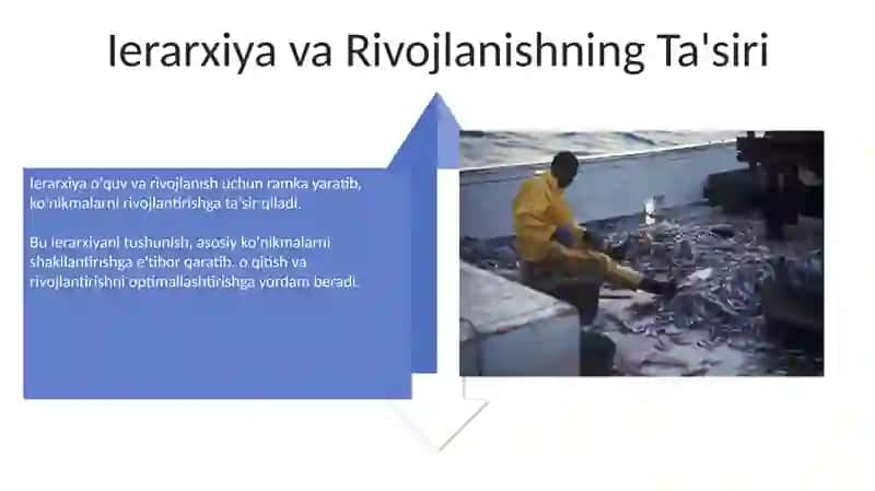 Qobilyat ierarxiyasi va rivojlanish haqida mushohadalar 4