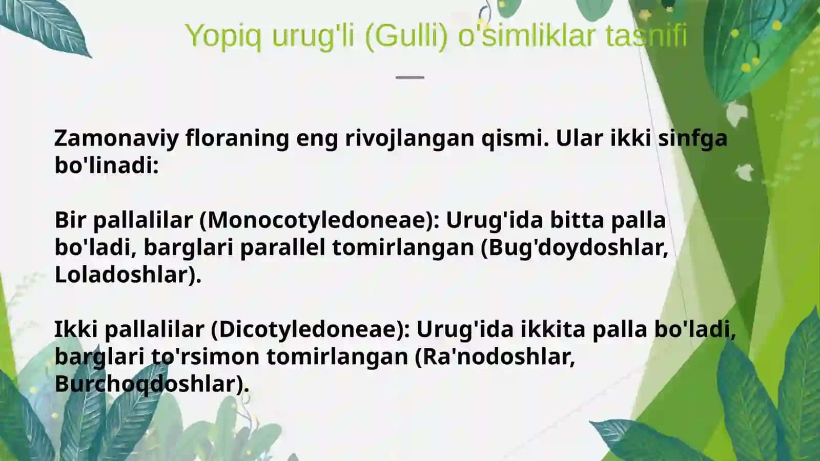 O'simliklar Sistematikasi: Tasniflash asoslari va ahamiyati 4