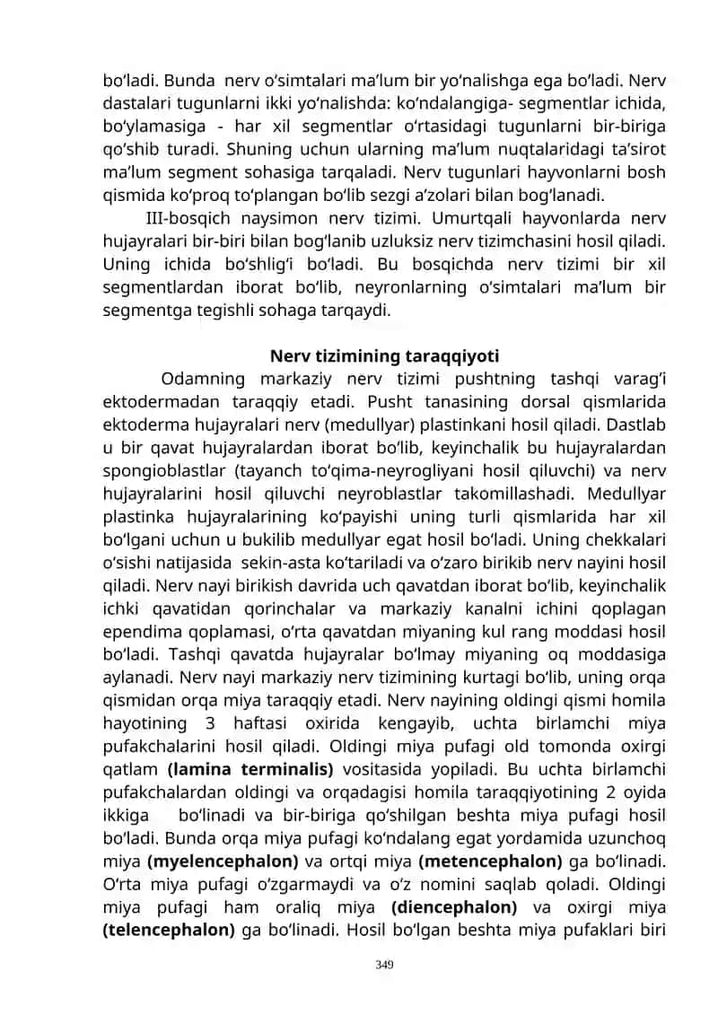 Nerv tizimi (neurologiya) 4